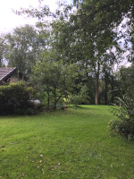 The location